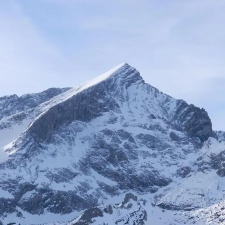 Vergissmeinnicht * Garmisch-Partenkirchen